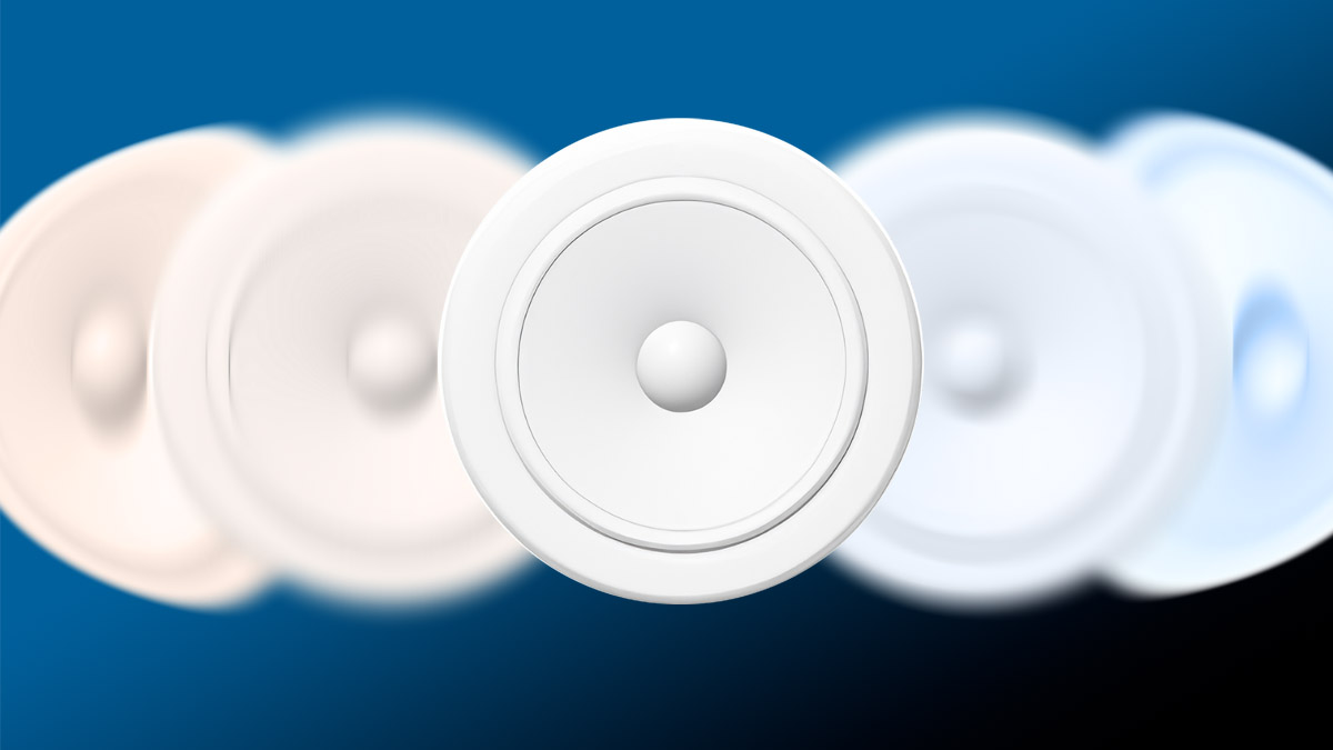 Non-Linear Amplitude Modulation of Loudspeakers Non-Linear Amplitude Modulation of Loudspeakers