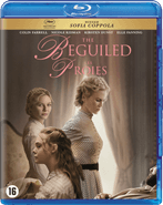 The Beguiled Blu-ray