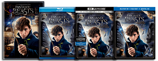 Fantastic Beasts DVD Blu-ray UHD