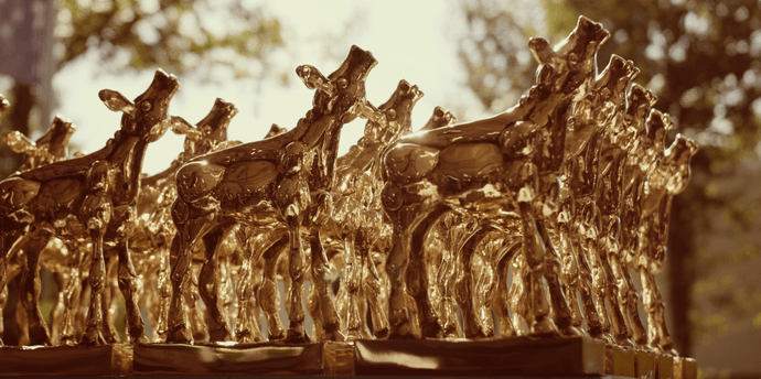 Gouden kalveren NFF