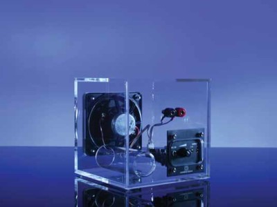 AX March: What’s Your Passion?