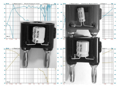 A Prototyping System for Passive Crossovers