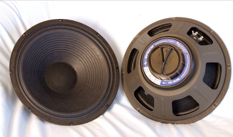 Eminence attenuating speaker cheap