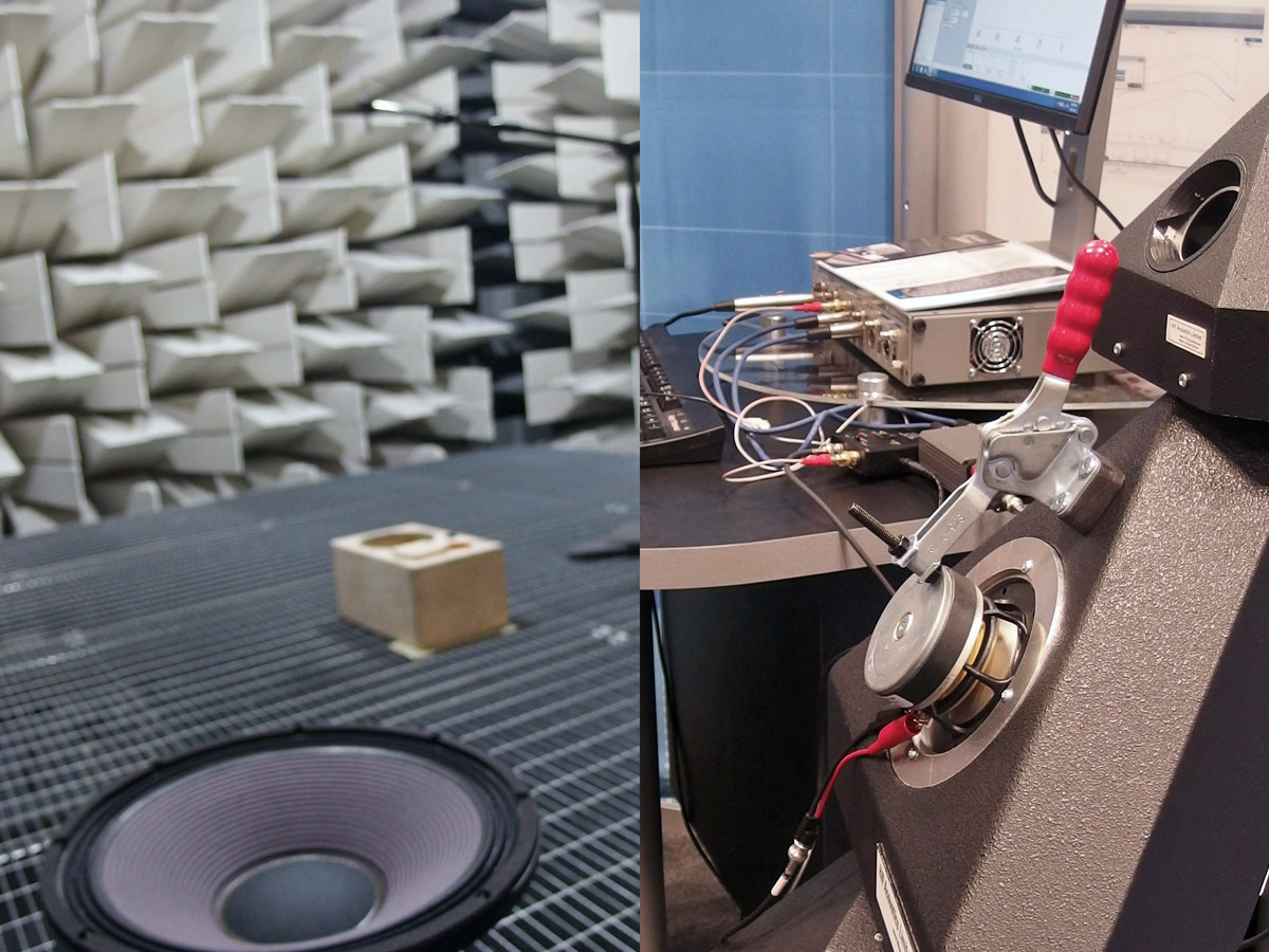 Testing a speaker online
