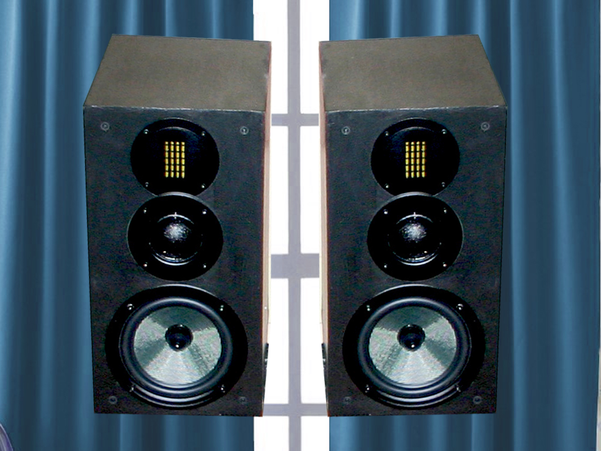 Swan 2025 diy 3.1