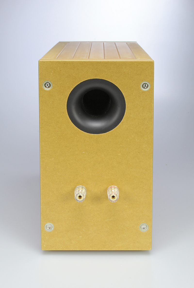 Tang band diy best sale