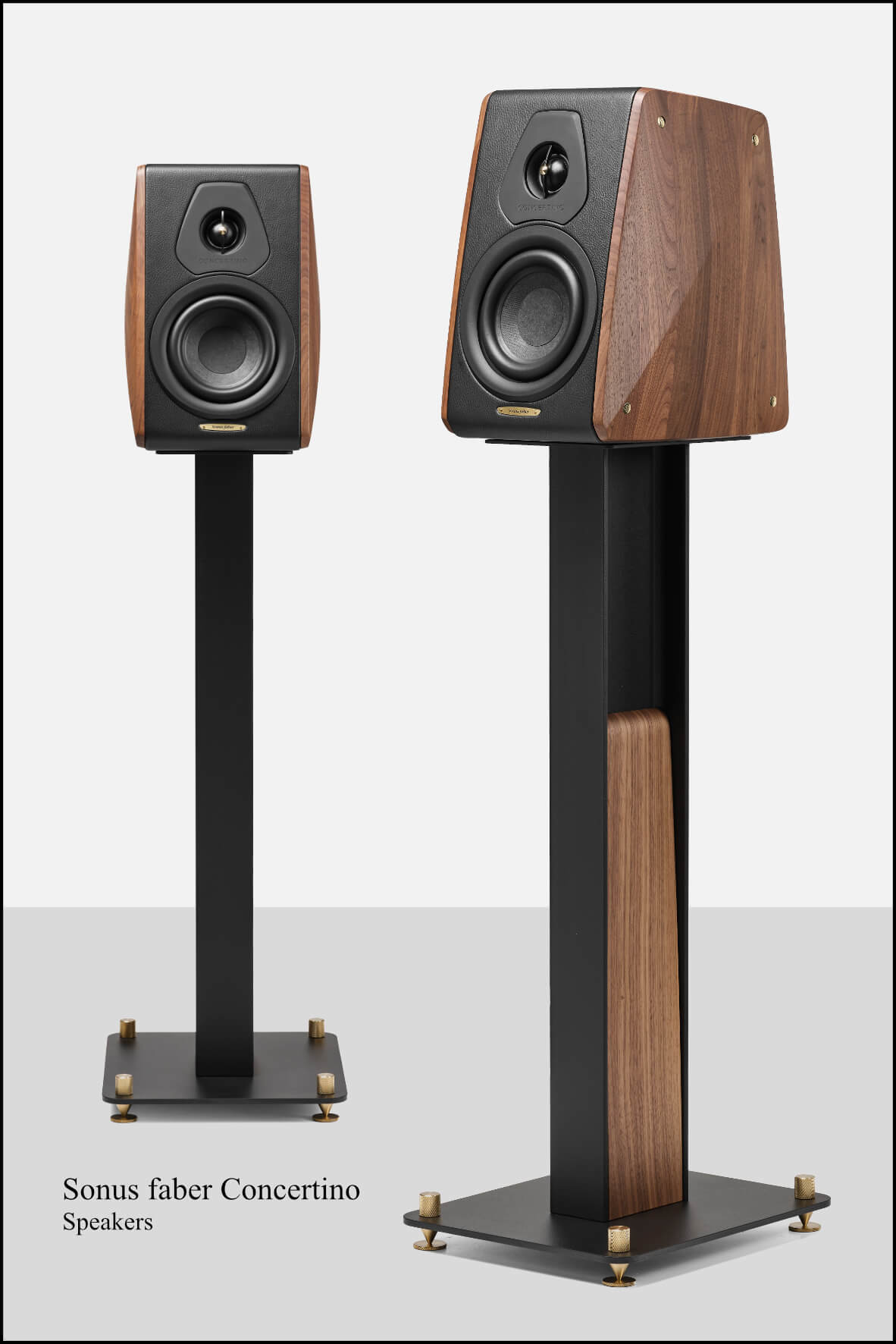 Fine Sounds Sonus faber
