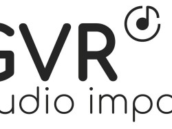 GVR Audio Import