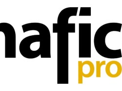 Mafico