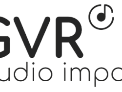 GVR Audio Import