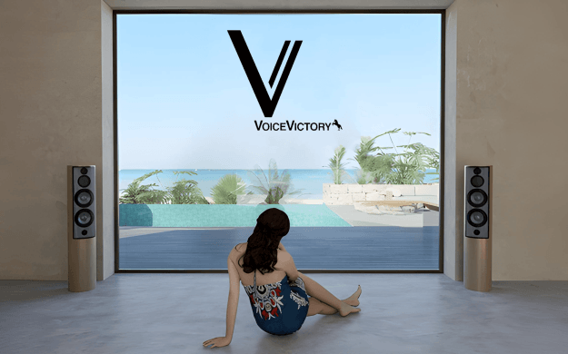 VoiceVictory met Hypex: Nederlands duo