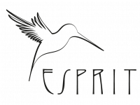 Esprit