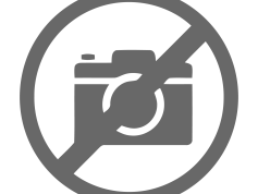 Wilde Ganzen logo 2020