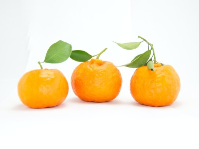 Oranje Fonds reikt drie Appeltjes van Oranje uit.