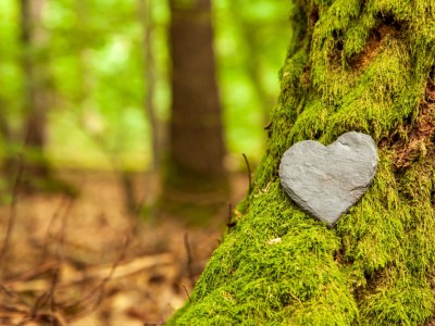 Arjen van Ketel: SEPA en Natuurbegraven 