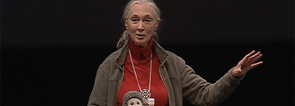 Jane Goodall tijdens een TEDTalk in maart 2003.