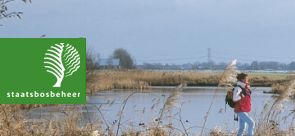 Staatsbosbeheer schrapt 200 banen