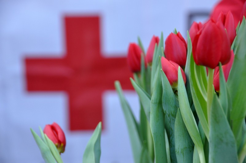 Aandacht voor noodhulp in eigen land met Tulp voor Hulp