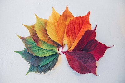 Beeld: Chris Lawton on Unsplash.