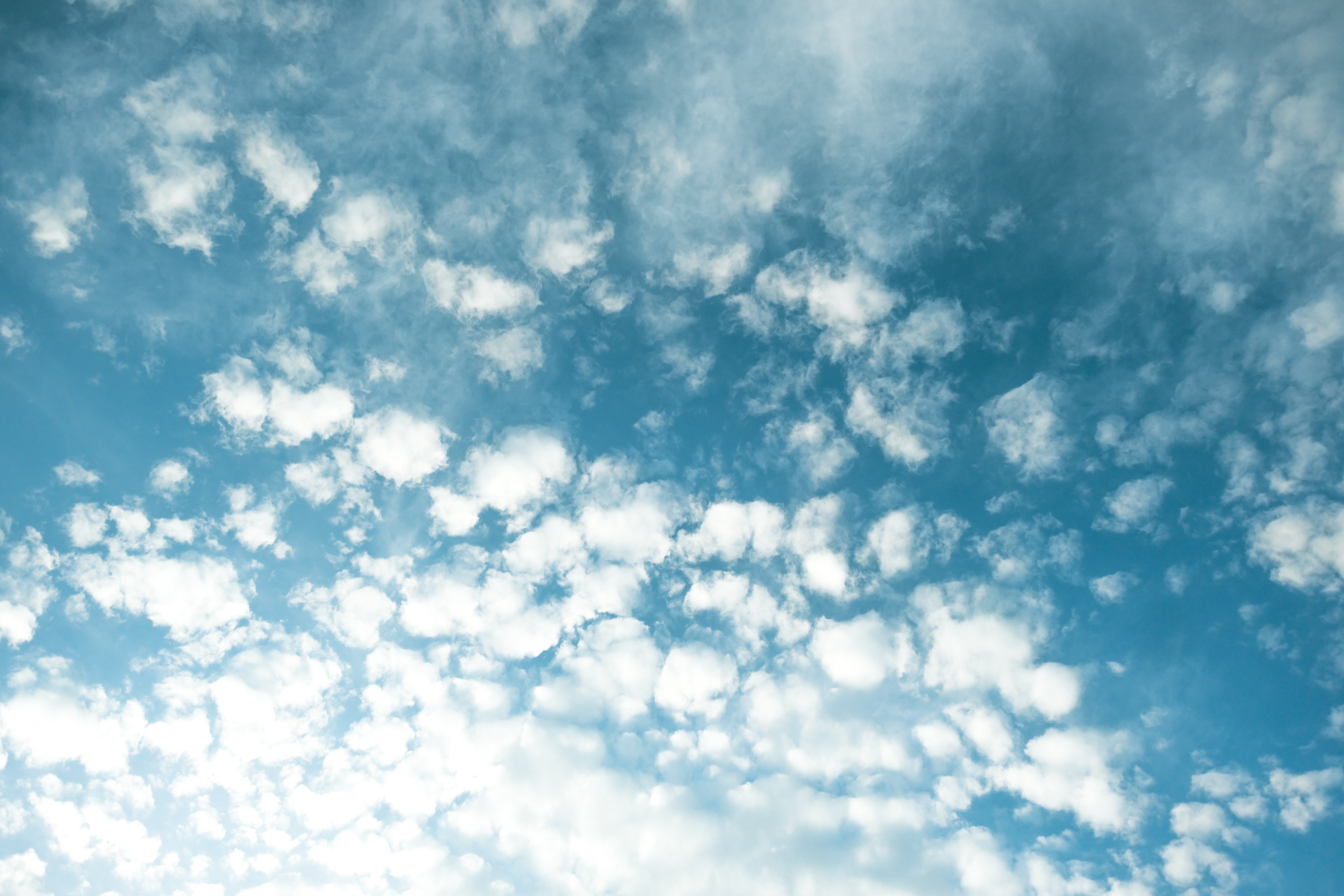 Beeld: Tim Foster on Unsplash.