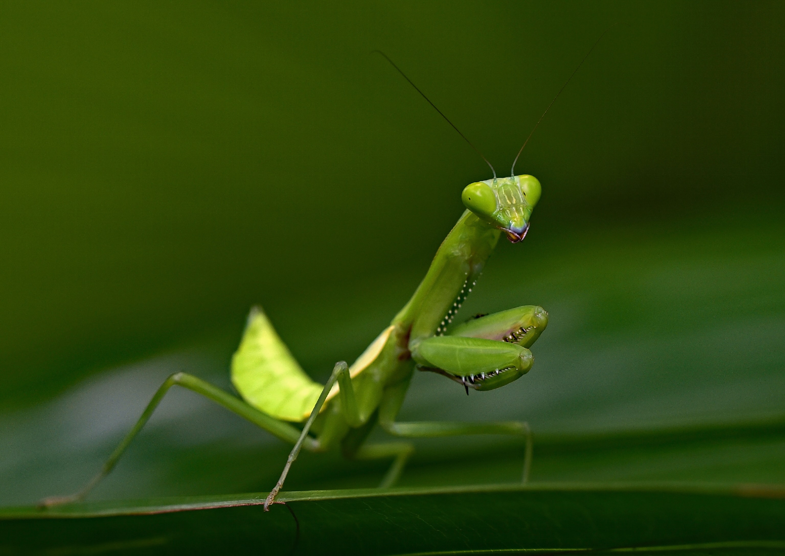 Foto: David Clode/Unsplash