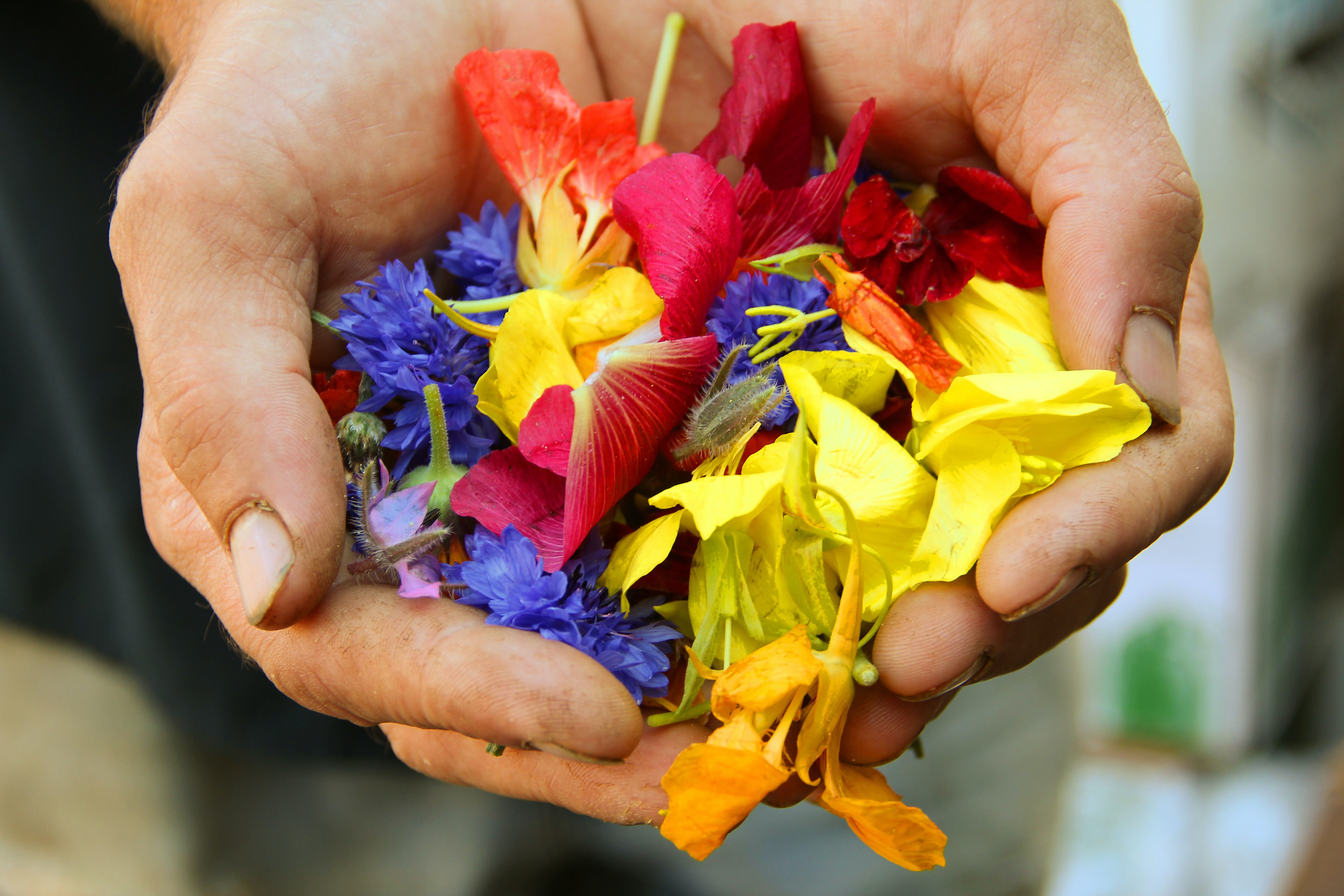 Foto: Jan Canty/Unsplash