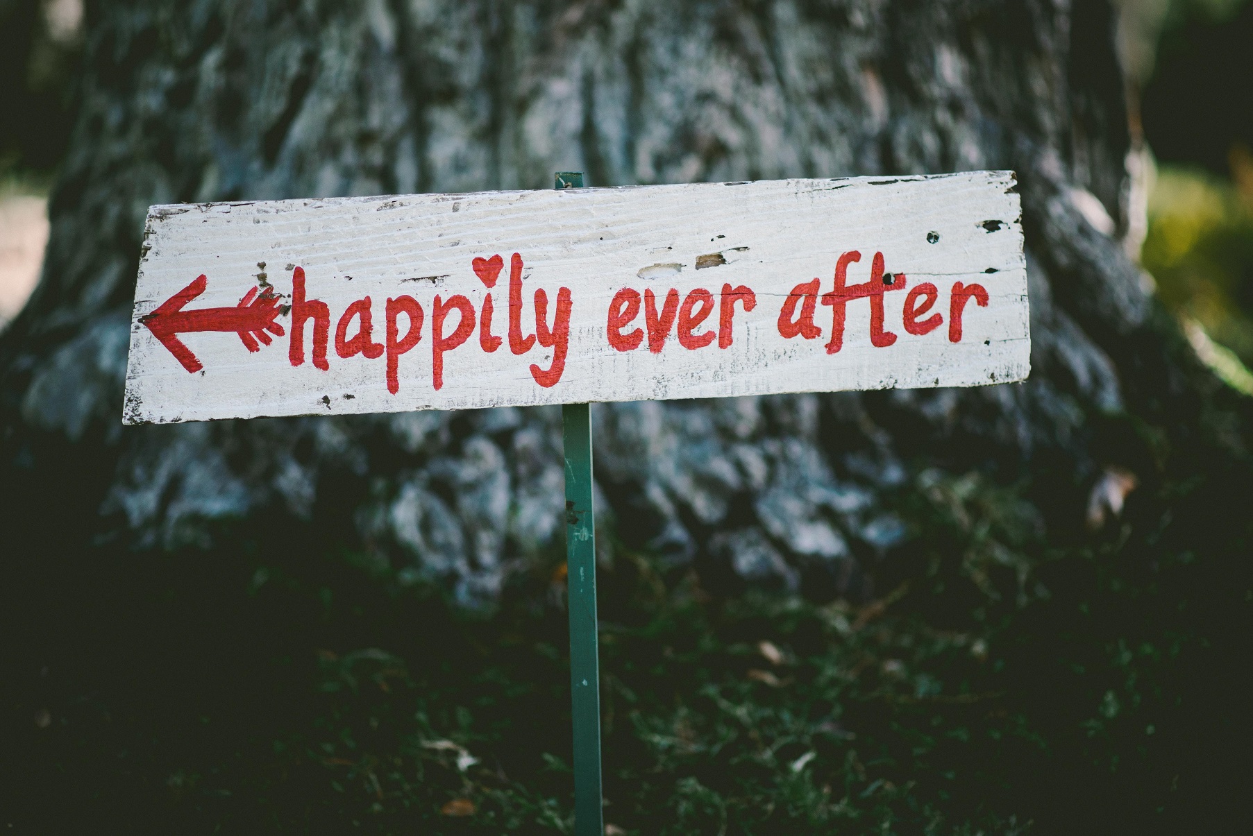 Foto: Ben Rosett/Unsplash
 