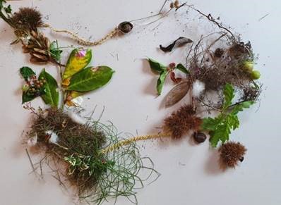 Laat de natuur je coachen
