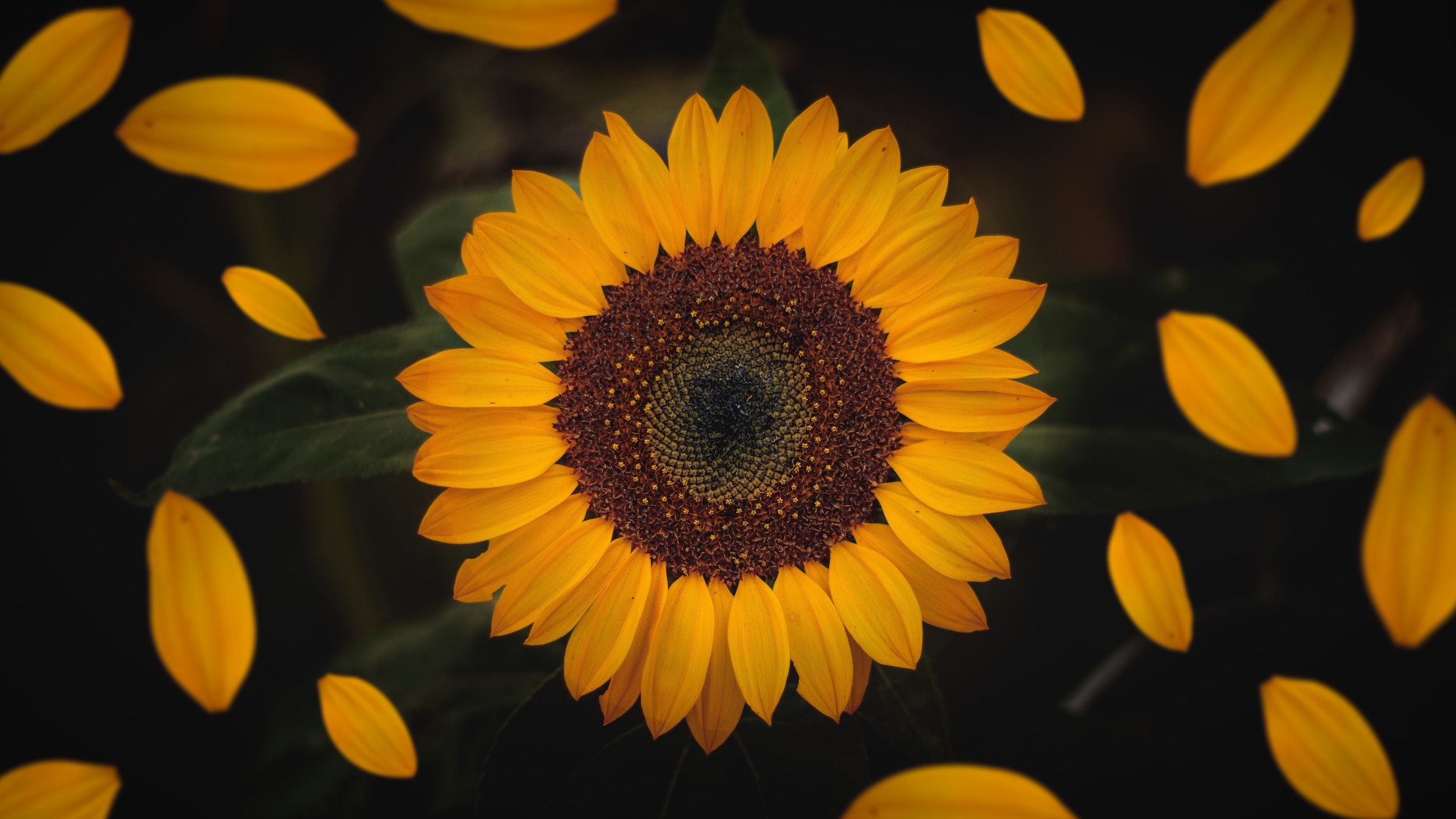 Beeld: Yair Mejia/Unsplash.