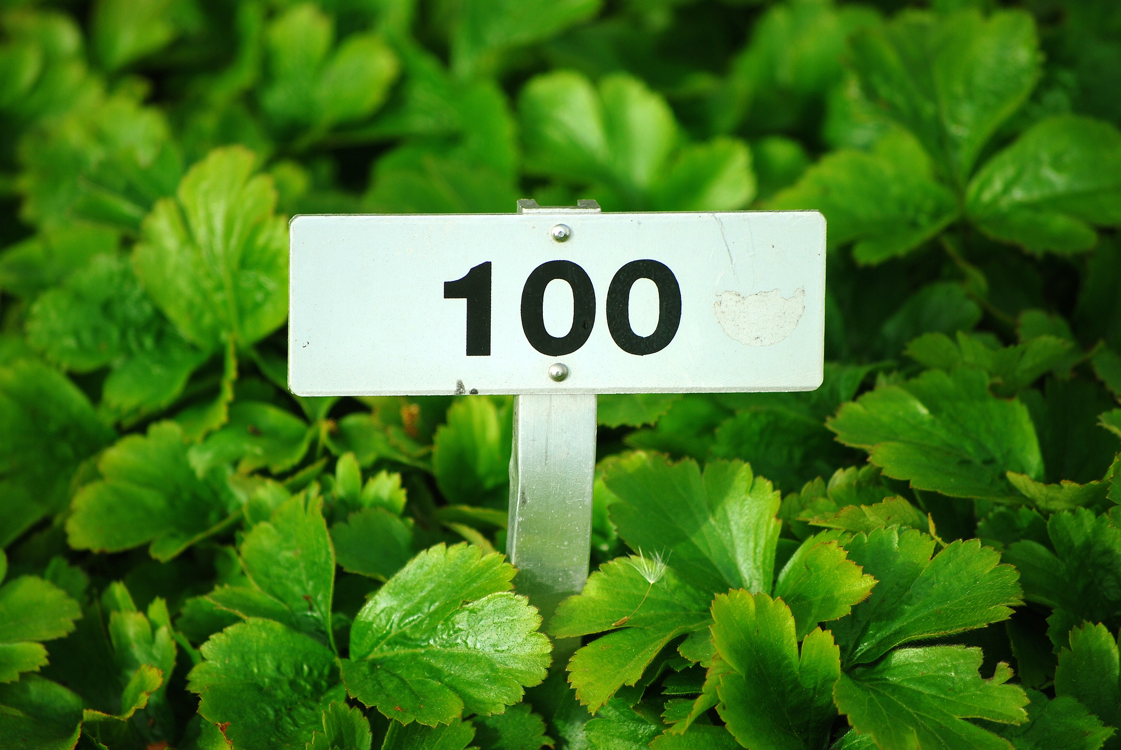 Foto: Marcel Eberle/Unsplash