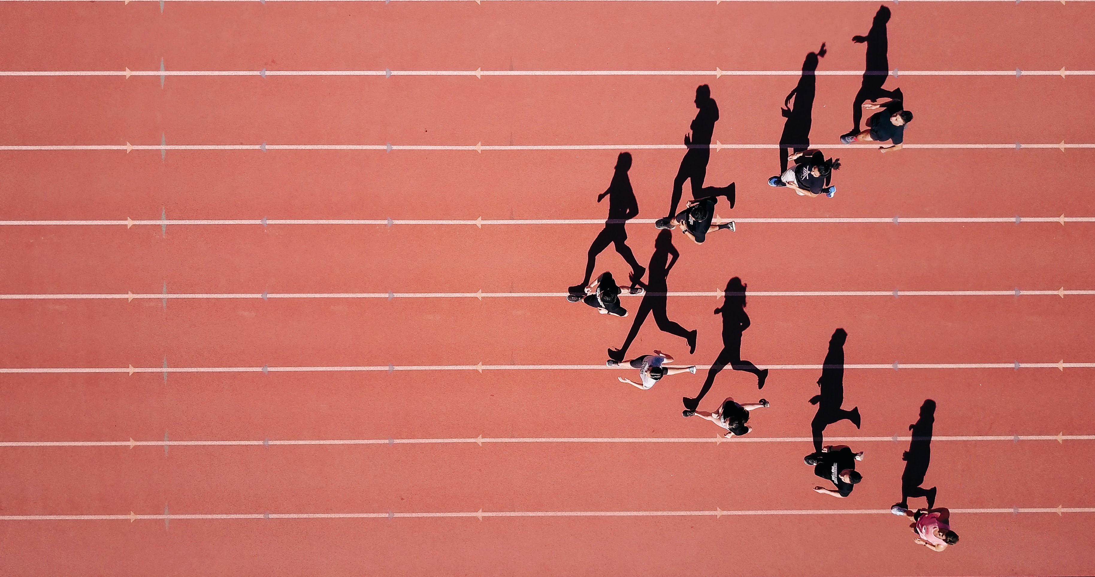 Beeld: Steven Lelham/Unsplash.