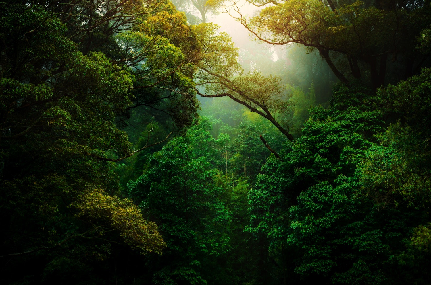 Beeld: Kunal Shinde/Unsplash.