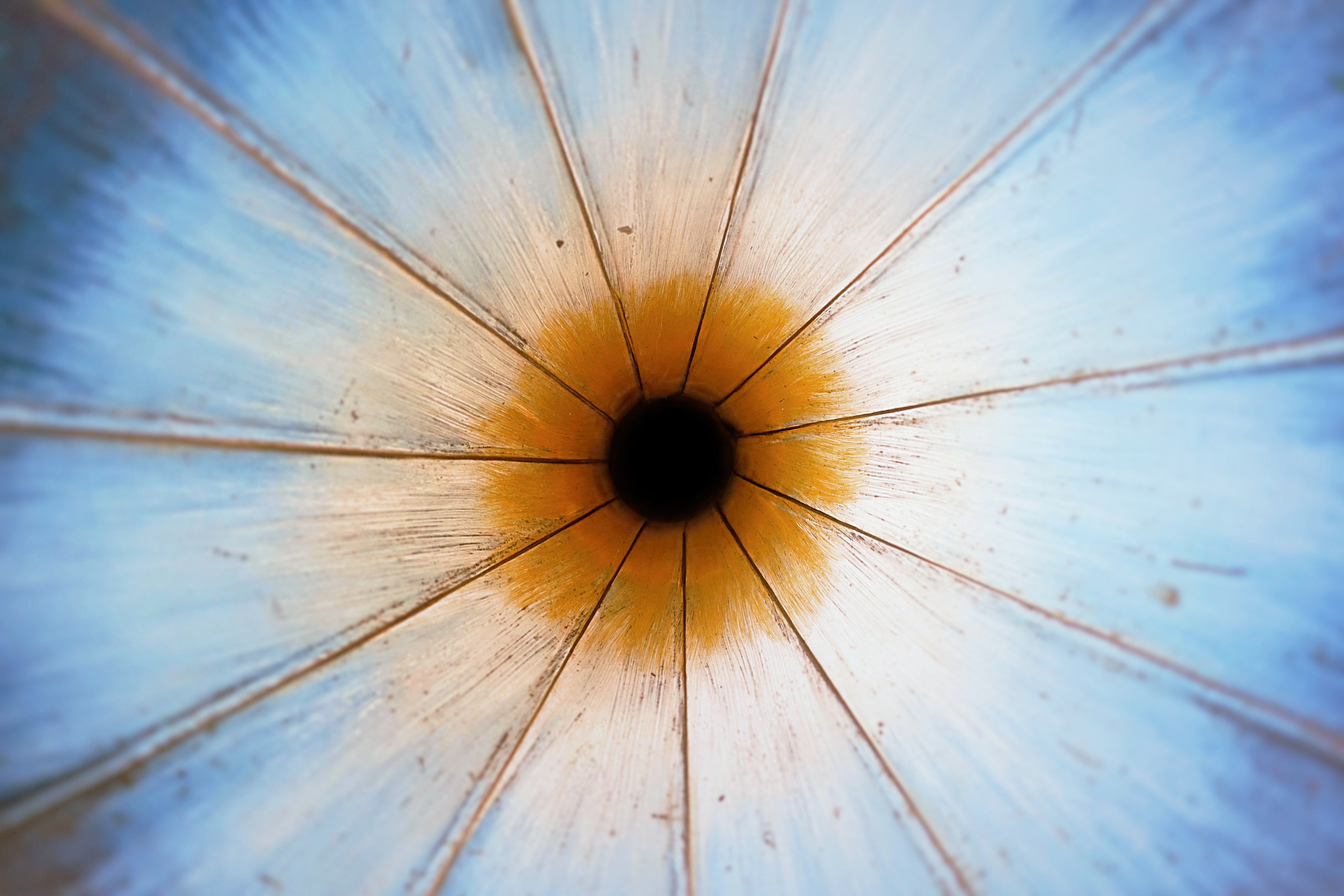 Beeld: Cameron Ballard/Unsplash.
 