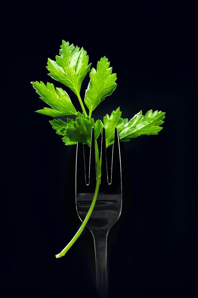 ROC start opleiding Plant Based Cooking