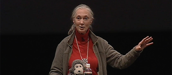 Jane Goodall tijdens een TEDTalk in maart 2003.