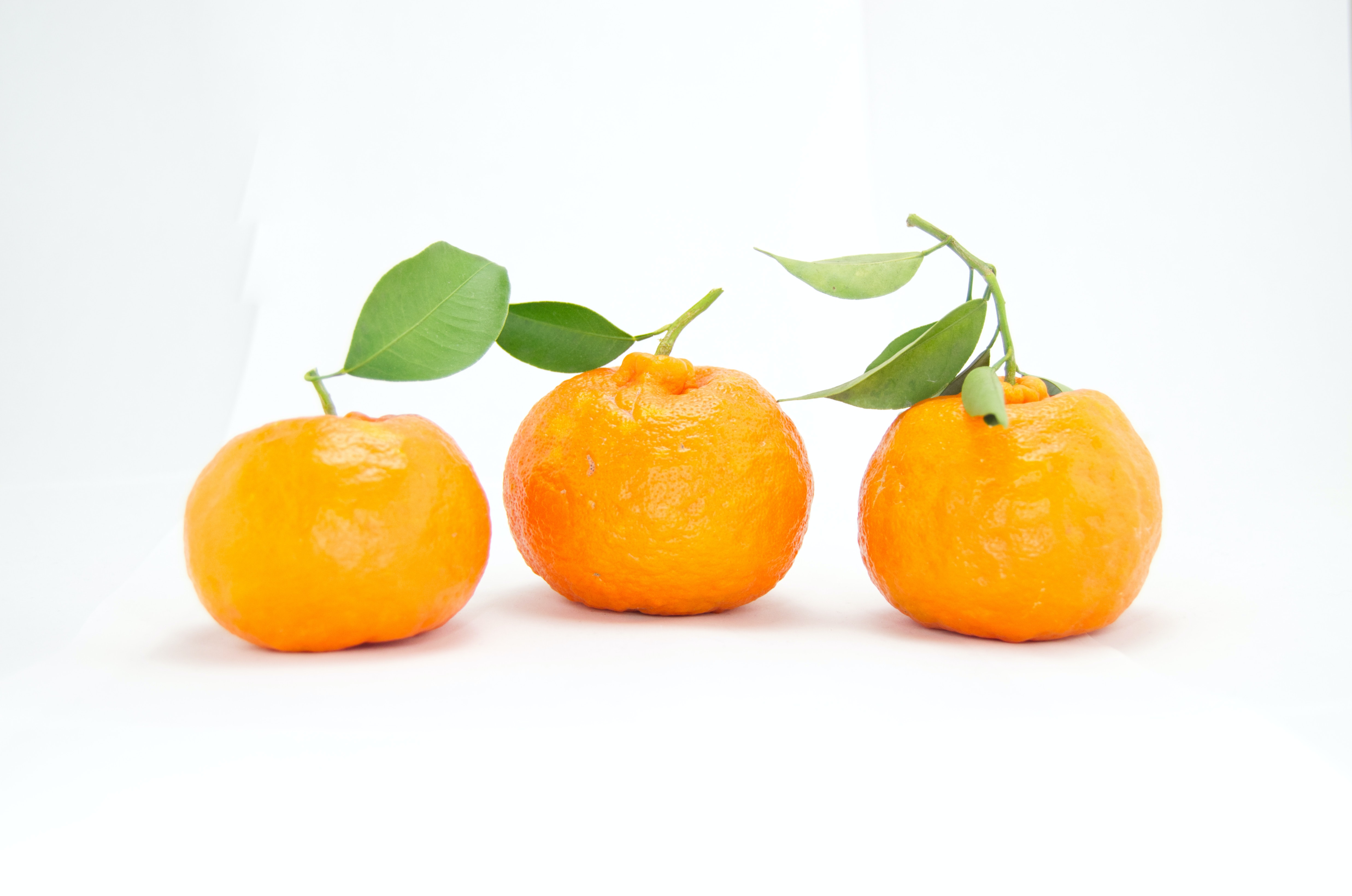 Oranje Fonds reikt drie Appeltjes van Oranje uit.