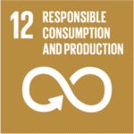 Sustainable Development Goal 12