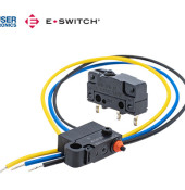 WS1 & WS2 Snap-Action Switches