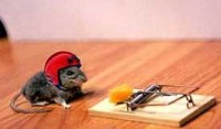 Animal friendly mousetrap with email notification Elektor Magazine