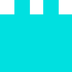 elektor