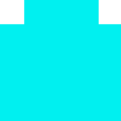 elektor