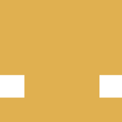 elektor