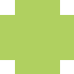 elektor