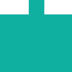 elektor
