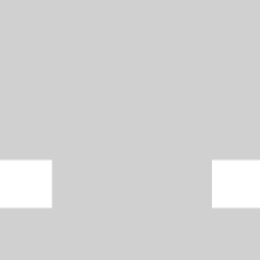 elektor