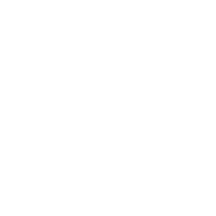elektor