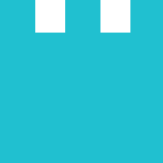 elektor
