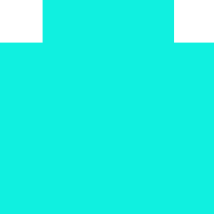 elektor