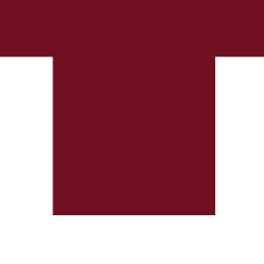 elektor