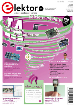 AI Guest Edition 2024